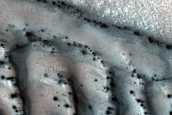 Monitor High-Latitude Gullies and Frost