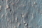 Possible Olivine-Bearing Materials on Terra Sirenum Crater Floor