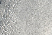 Knobby Terrain