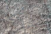 Peneus Patera