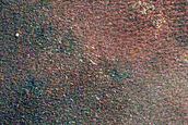 Knobby Terrain