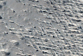 Monitoring New Impact Site