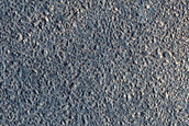 Terrain Sample