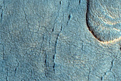 Scalloped Depressions in Utopia Planitia