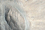 Gully Monitoring
