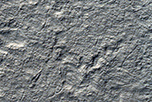 Landforms on Hellas Planitia Floor