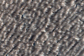Northern Mid-Latitude Terrain