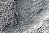 Possible Olivine Exposure within Newton Crater