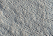 Terrain Sample