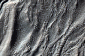 Gully Monitoring