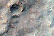 Southern Mid-Latitude Terrain
