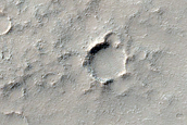 Southern Mid-Latitude Terrain