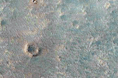 Southern Mid-Latitude Terrain