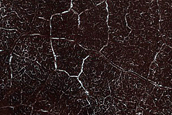Frost Monitoring in Crater