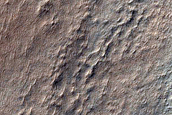 Layers in Hellas Planitia