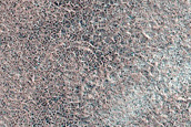 Terrain Sample