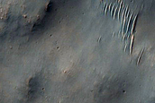 Southern Mid-Latitude Terrain