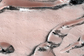 Seasonal Ice-Dune Interactions in Olympia Undae