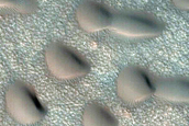 Dune Monitoring in Crater