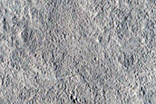 Northern Mid-Latitude Terrain