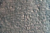 Gully Monitoring