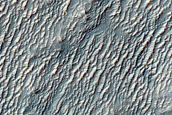 Ridge in Crater in Noachis Terra