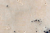 Candidate Recent Impact Site