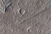 Candidate Recent Impact Site
