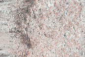 Western Abalos Scopuli Scarp and Dune Monitoring