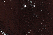 Frost Monitoring in Crater