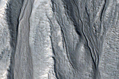 Gully Monitoring