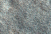 Terrain Sample