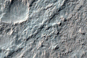 Possible Olivine-Bearing Materials Exposed by Crater within Newton Crater