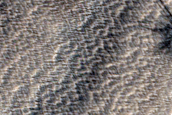 Candidate Recent Impact Site