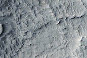 Possible Hydrous-Rich Minerals in Lucus Planum