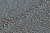 North Polar Landscape