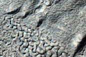 Brain Terrain on Floor of Crater in Warrego Valles