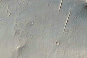 Daedalia Planum