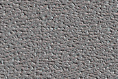 North Polar Residual Cap Monitoring Site