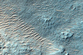 Terrain North of Argyre Region