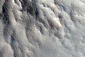 Gully Monitoring