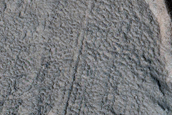 Crater with Lobate Debris Apron on East Flank of Alba Mons