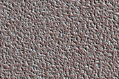 North Polar Terrain
