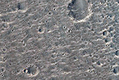 Trough Landforms in Elysium Planitia