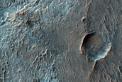 Chlorides and Mafic Minerals in Northern Noachis Terra