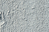 Lava Margin in Elysium Planitia
