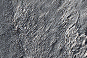 Channel Network in Crater North of Kepler Crater
