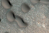 Dune Monitoring in Crater