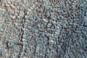 Unusually Large Gullies on Equator-Facing Slope of Crater
