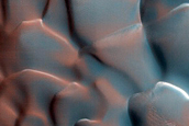 Dune Monitoring in Crater
